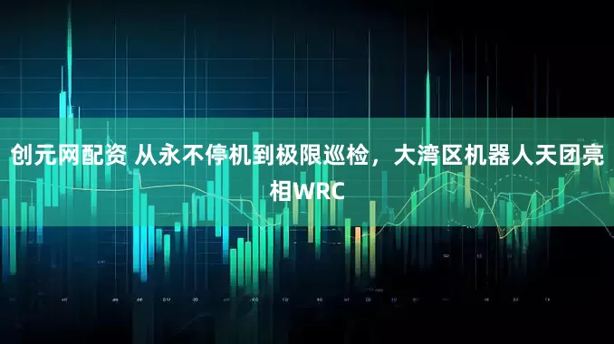 创元网配资 从永不停机到极限巡检，大湾区机器人天团亮相WRC